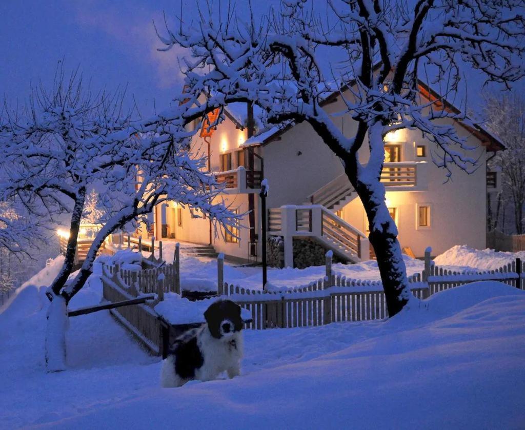 Casuta Cu Amintiri Villa Campulung Exterior photo